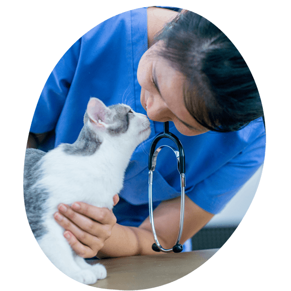 cat hi-5 person
